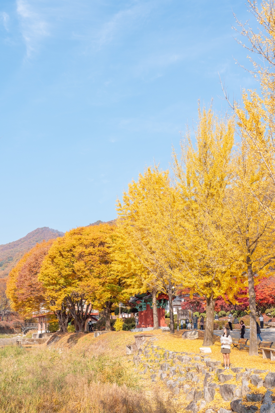 충북 제천 가볼만한곳 제천여행 가을 단풍 명소 배론성지