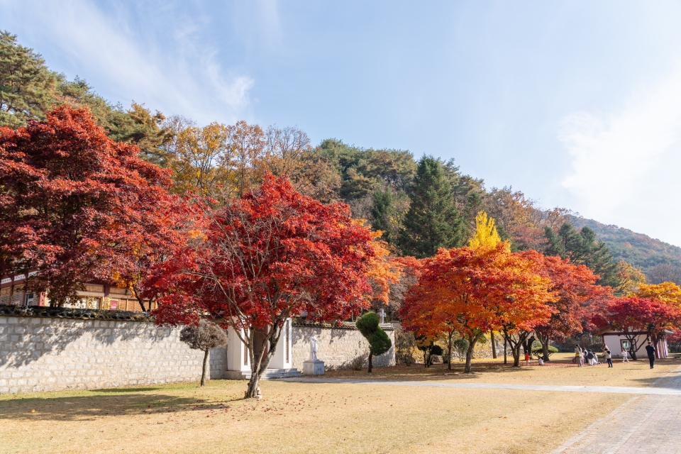 충북 제천 가볼만한곳 제천여행 가을 단풍 명소 배론성지