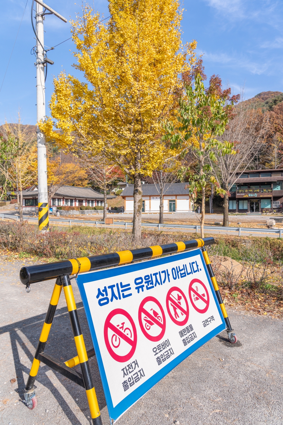 충북 제천 가볼만한곳 제천여행 가을 단풍 명소 배론성지