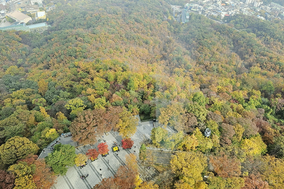 서울 가을 데이트 서울 단풍명소 남산타워 전망대 남산 백범광장