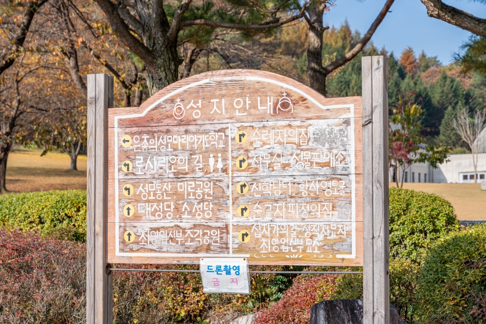 충북 제천 가볼만한곳 제천여행 가을 단풍 명소 배론성지