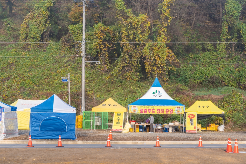 충북 여행 괴산 가볼만한곳 괴산 문광저수지 은행나무길 실시간 상황