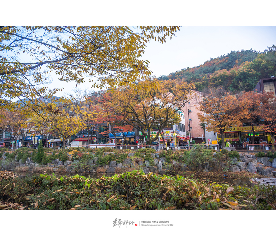 서울 근교 데이트 코스 안양 가볼만한곳 안양 예술공원 가을 나들이