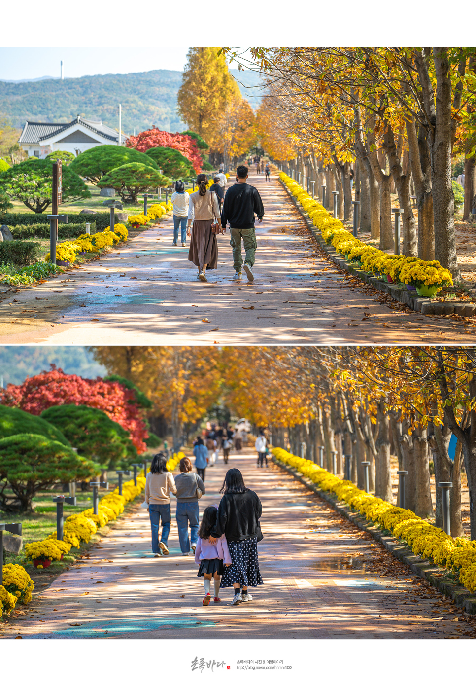 경주 가볼만한곳 경주 여행 코스 가을 명소 먹거리 포함