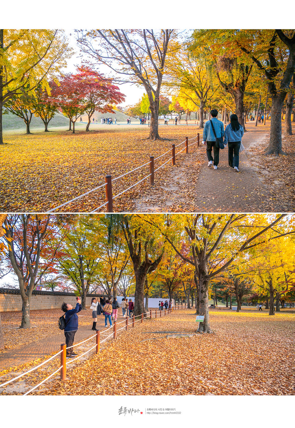 경주 가볼만한곳 경주 여행 코스 가을 명소 먹거리 포함