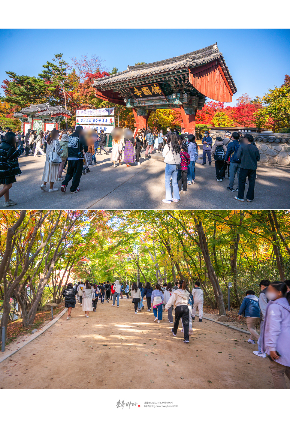 경주 가볼만한곳 경주 여행 코스 가을 명소 먹거리 포함