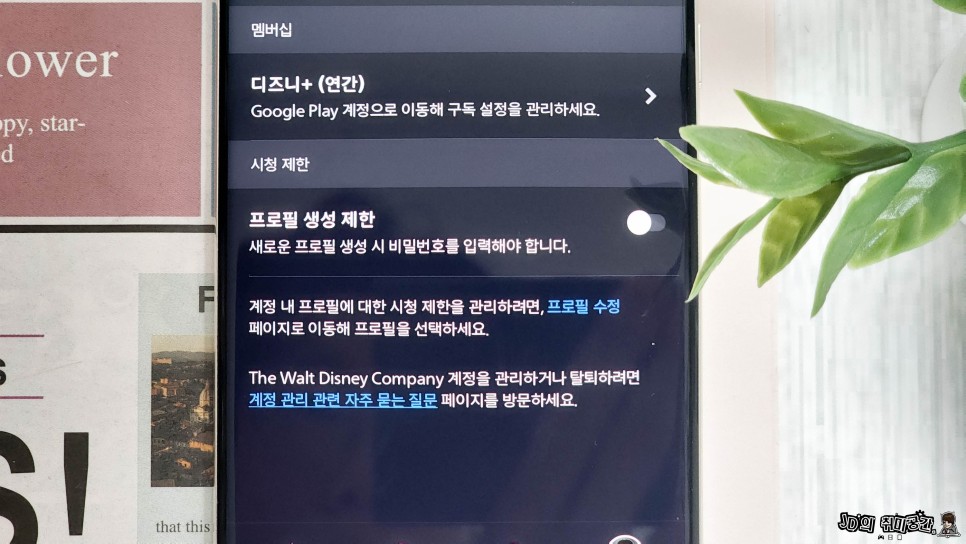 디즈니플러스 공유 노드VPN사용법 메쉬넷 기능 활용 넷플릭스도 가능