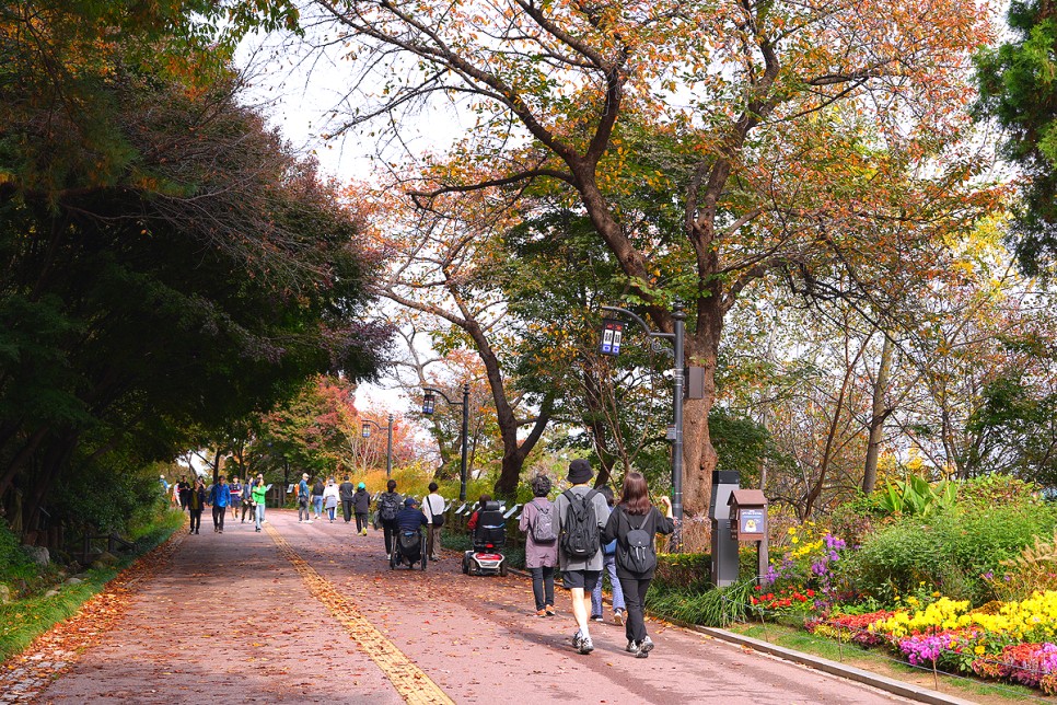 서울 가볼만한곳 단풍 명소 서울 남산 공원 둘레길 코스 산책로 산책하기 좋은곳