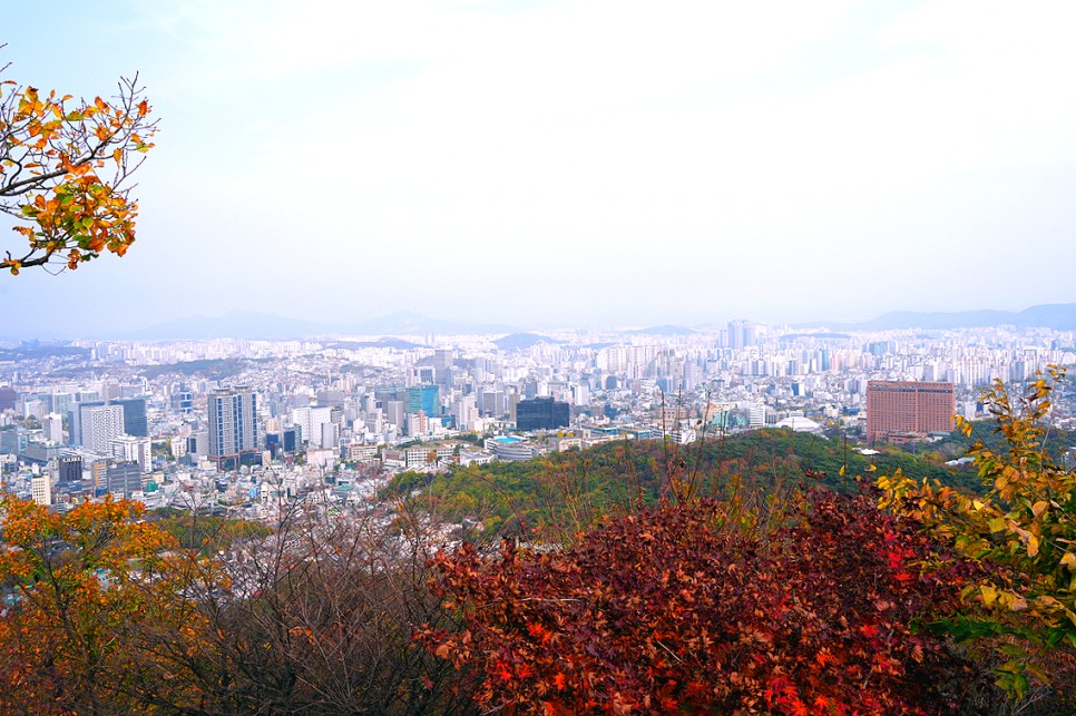 서울 가볼만한곳 단풍 명소 서울 남산 공원 둘레길 코스 산책로 산책하기 좋은곳