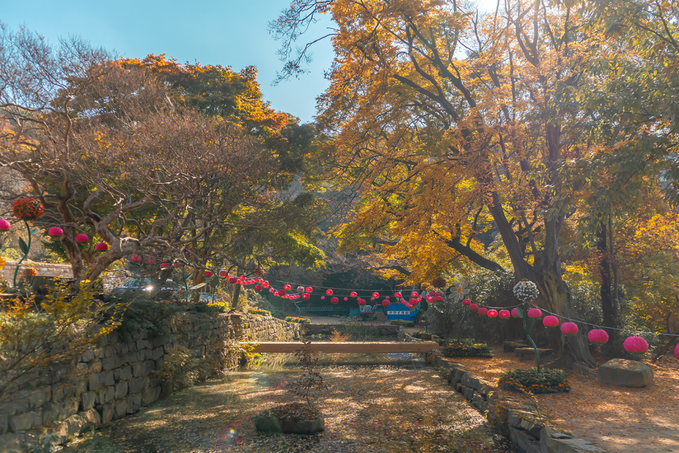 가을 단풍명소 충남 여행지 서산 개심사 국화축제 11월 가볼만한곳 추천