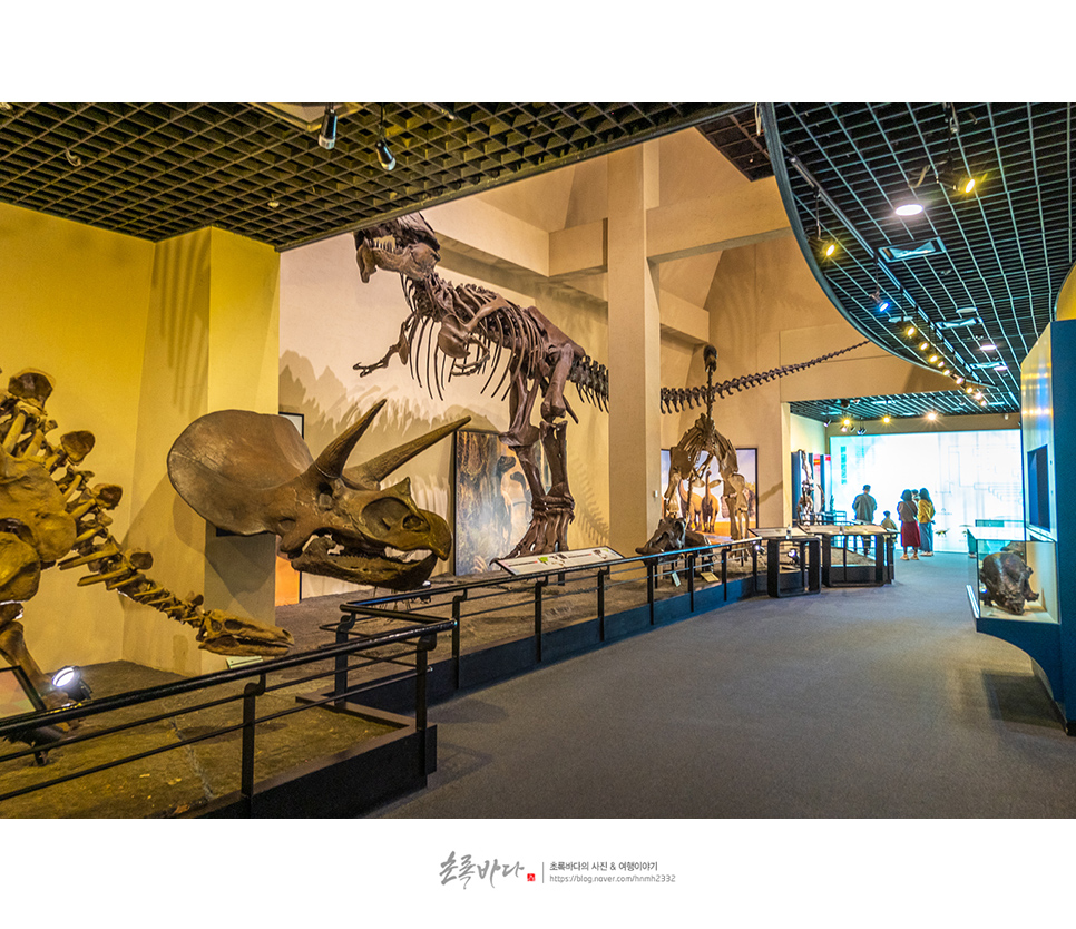 경남 고성 가볼만한곳 고성 공룡 박물관 여행