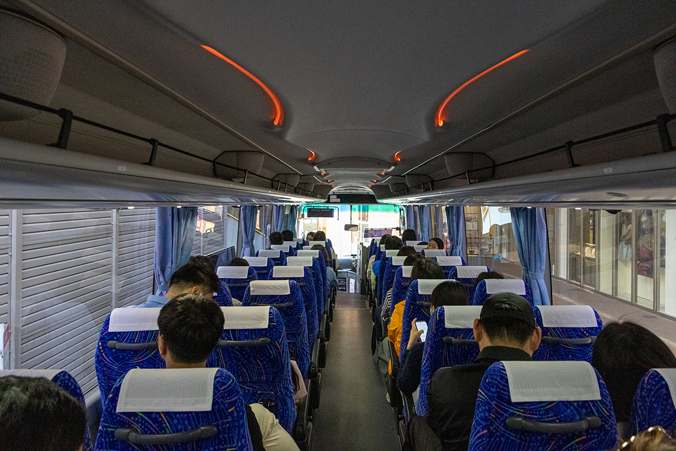 일본 오사카 교토 버스투어 여행 코스 가을 단풍 아라시야마 청수사