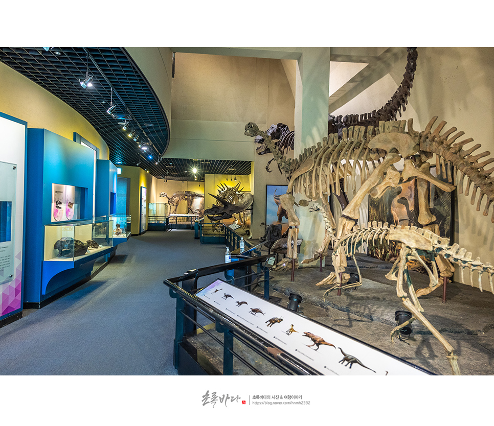경남 고성 가볼만한곳 고성 공룡 박물관 여행