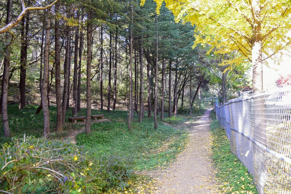 대구 가볼만한곳 대구 수목원 대구 단풍 명소