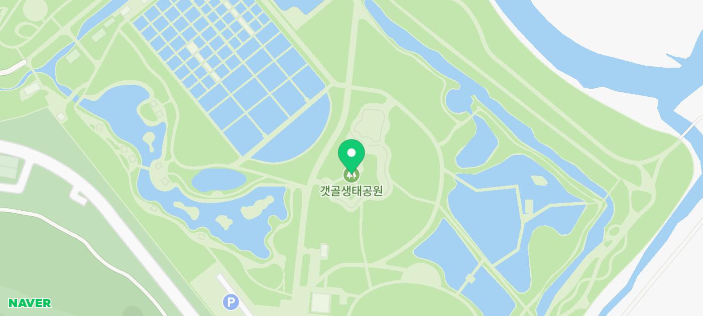 시흥 가볼만한곳 아이와 놀거리 시흥 갯골 생태공원 핑크뮬리