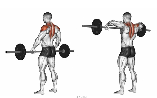 남자 여자 어깨 넓어지는 운동 루틴: 바벨 덤벨 숄더프레스 사이드 레터럴 레이즈 업라이트로우 어깨근육 전면 측면 삼각근운동