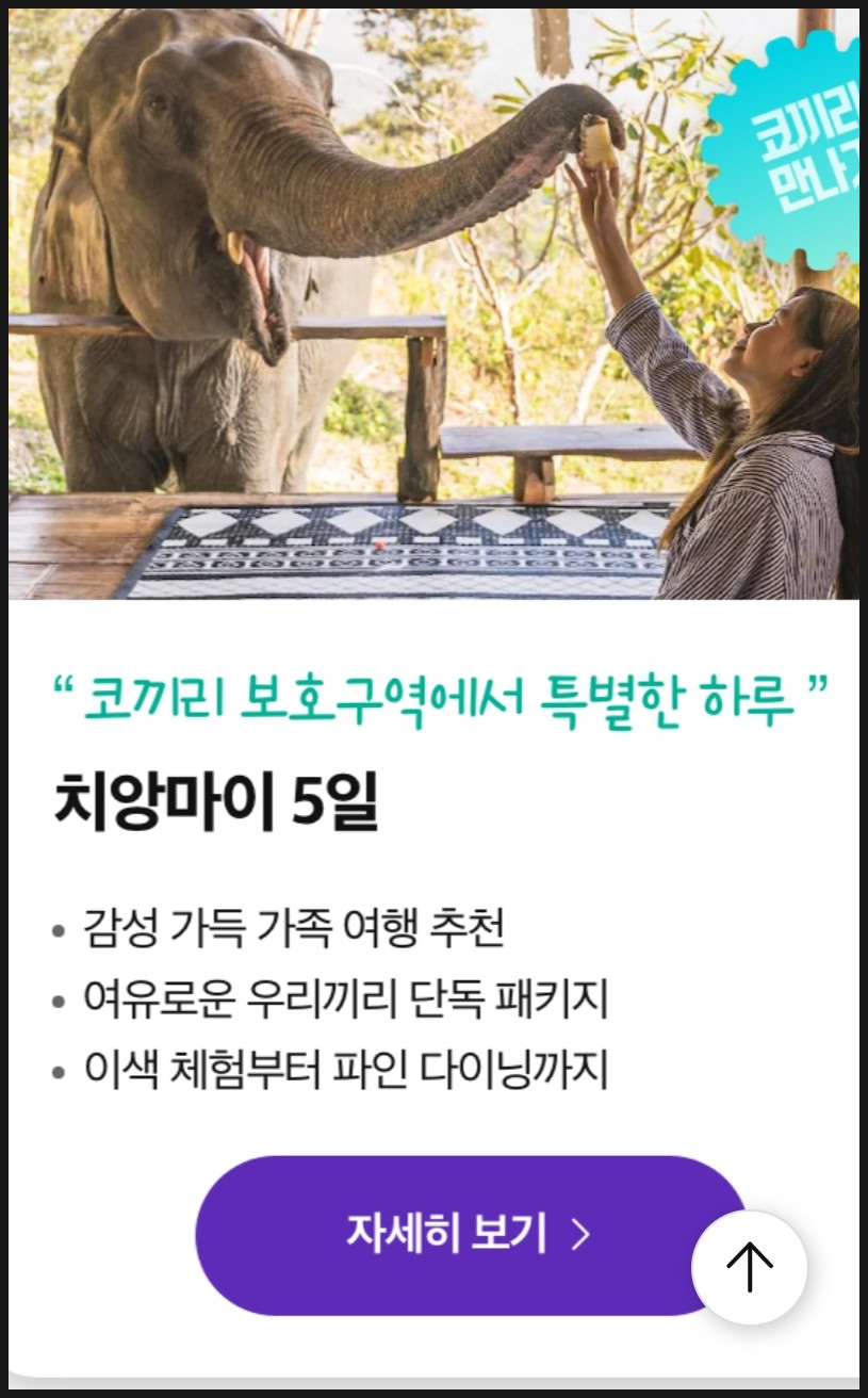 12월 1월 해외여행 순위 패키지 여행지 나라 추천