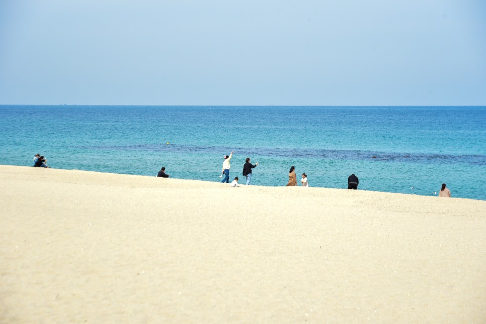 강릉 가볼만한곳 강릉 먹거리 볼거리 강릉 1박2일 여행코스