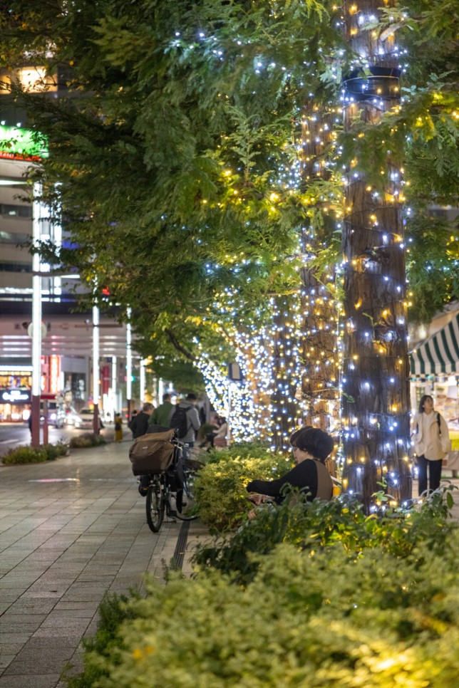 11월 도쿄 혼자여행 날씨 긴자 가볼만한곳 크리스마스트리 소품 쇼핑 유니클로