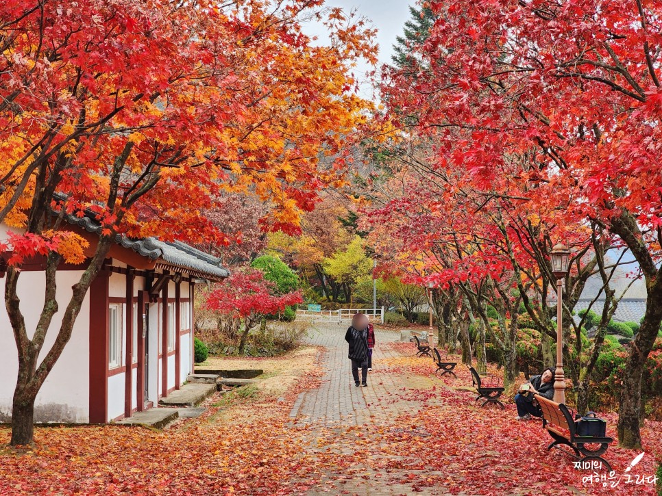 제천 배론성지 단풍여행 명소 충북 가볼만한곳