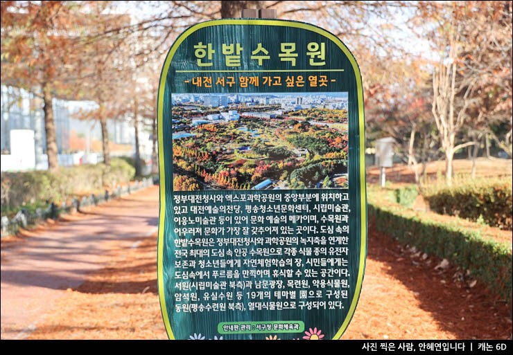 대전 여행 대전 단풍 명소 시내 공원 산책 대전 한밭수목원