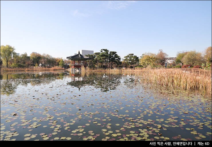대전 여행 대전 단풍 명소 시내 공원 산책 대전 한밭수목원