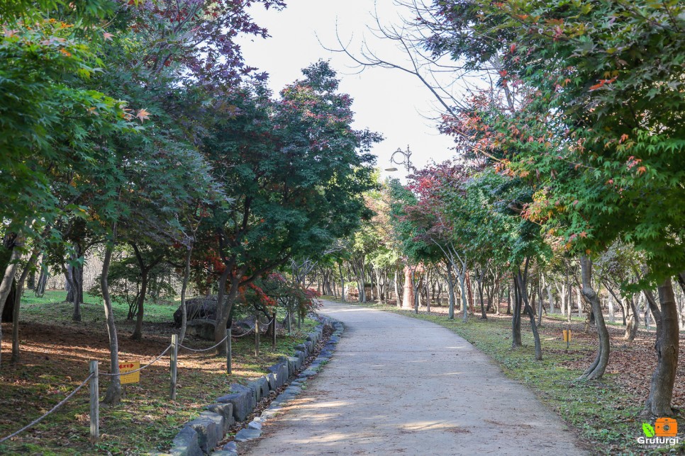 대전 여행 코스 대전 한밭수목원 시내 관광지 데이트 코스