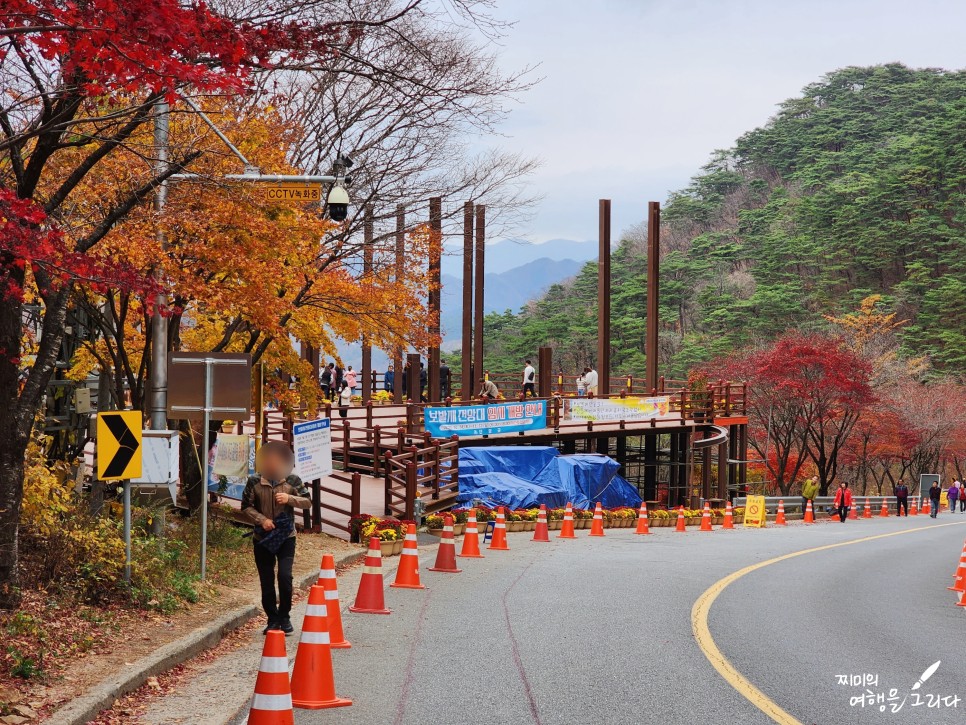 충북 단양 보발재 전망대 단풍 시기 드라이브 여행지