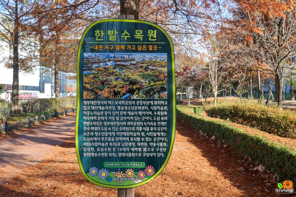 대전 여행 코스 대전 한밭수목원 시내 관광지 데이트 코스