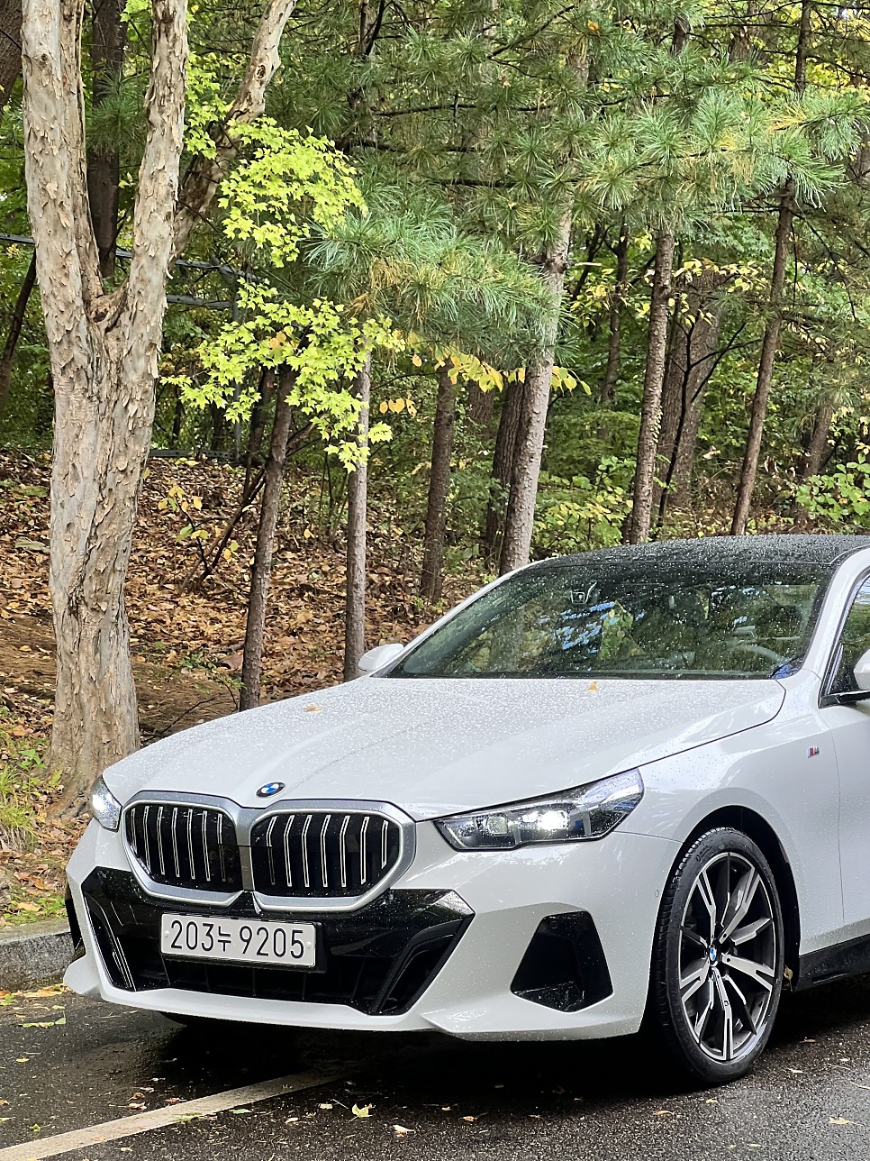 2024 BMW 5시리즈 정보 제원 '본격적인 출고 시작' 모의견적 할인 프로모션