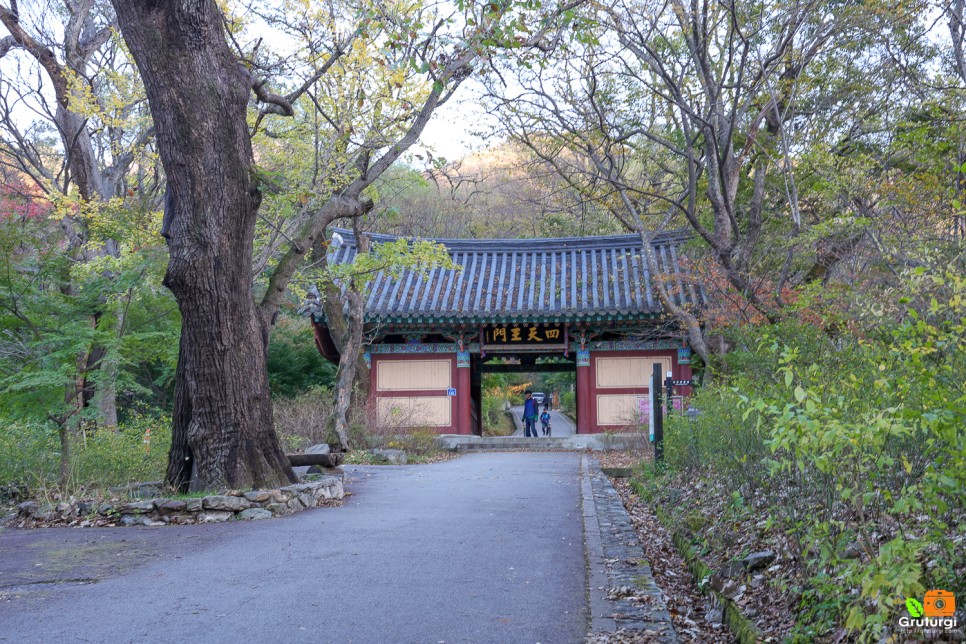 공주 여행코스 볼거리 유명한절 공주 갑사 단풍