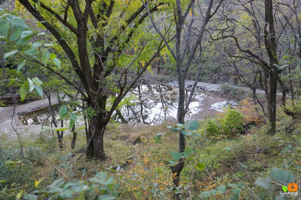 공주 여행코스 볼거리 유명한절 공주 갑사 단풍