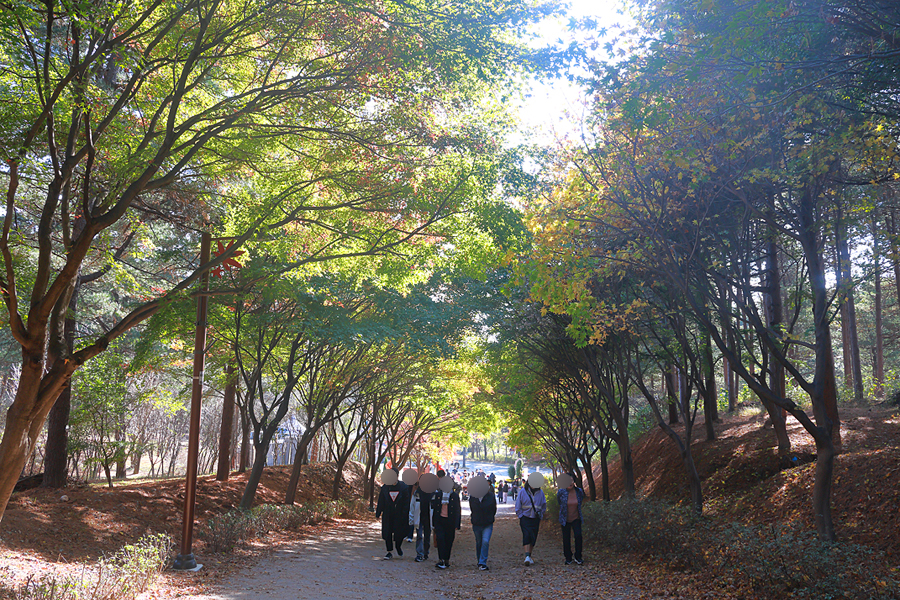 가을 단풍 명소 천안 독립기념관 단풍나무숲길 위치 산책로 볼거리 천안 데이트 코스