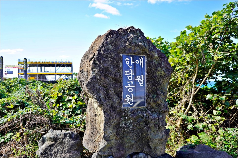 제주 서쪽 핫플 추천 아르떼뮤지엄 제주 애월카페거리 엄지흑돼지!