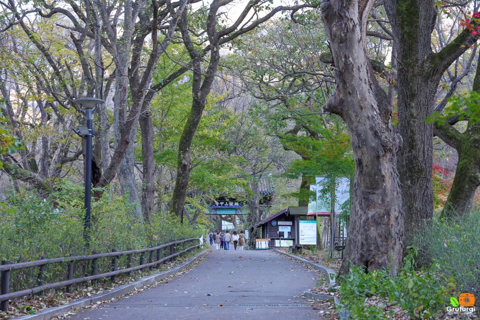 공주 여행코스 볼거리 유명한절 공주 갑사 단풍