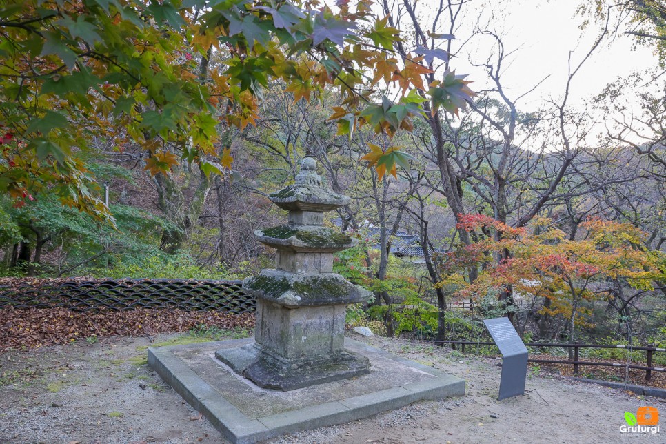 공주 여행코스 볼거리 유명한절 공주 갑사 단풍