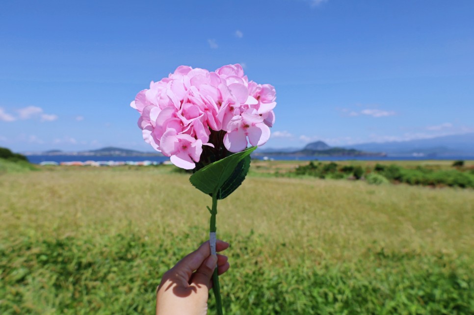 제주 서귀포 가볼만한곳 가파도 여행 관광지 가파도 배시간