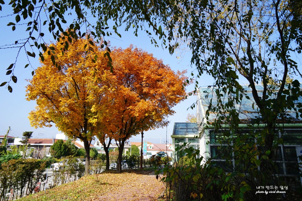 춘천 갈만한곳 명소 강원도립화목원 볼거리 많은 관광지