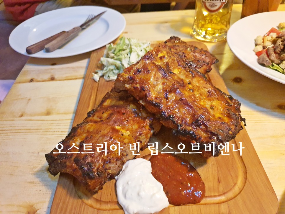 오스트리아 빈 여행 맛집 립스오브비엔나 예약없이 방문 후기