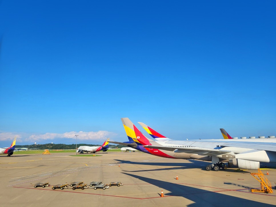 아시아나 인천-프랑크푸르트 기내식과 공항 택스리펀