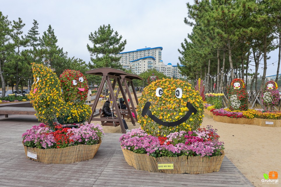 삼척 새천년해안도로 바다 삼척 해변 볼거리 국화전시회