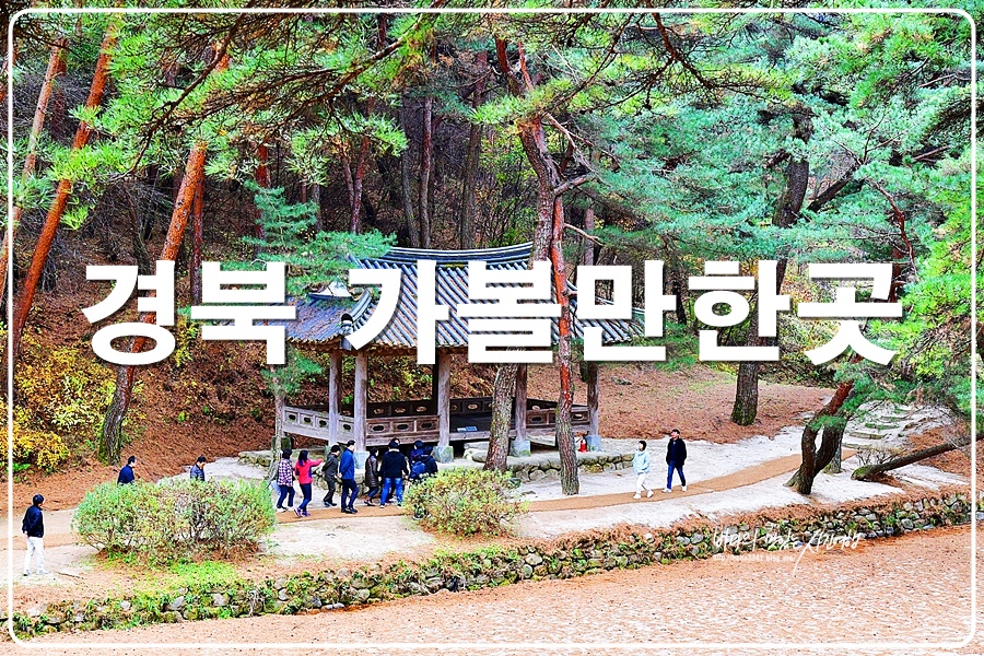 경북 가볼만한곳 영주 여행 소수서원 영주 선비촌
