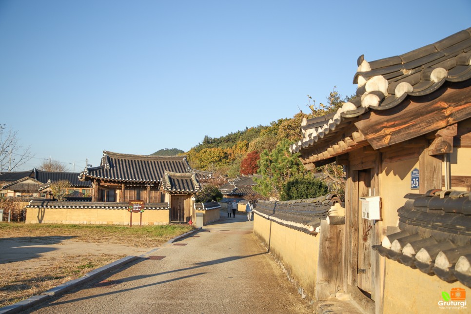 영덕 가볼만한곳 벌영리 메타세콰이어숲 영덕 먹거리 영덕 카페