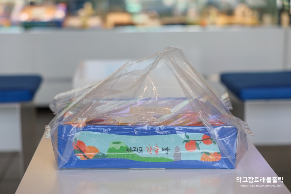 제주공항 근처 카페 애월당 공항점에서 제주 기념품 과일빵 선물