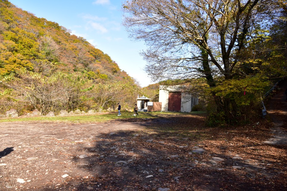 11월 제주도 여행 단풍 명소 제주 관음사 천왕사 천아계곡 제주대 은행나무등