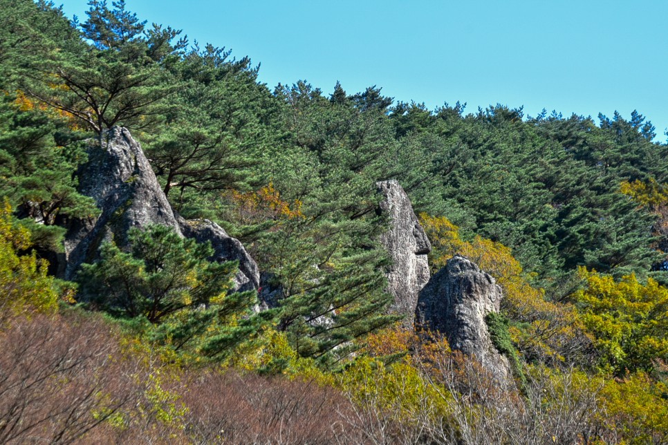 11월 제주도 여행 단풍 명소 제주 관음사 천왕사 천아계곡 제주대 은행나무등