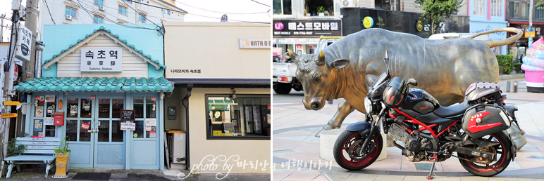 속초 중앙시장(관광수산시장) 먹거리 닭강정 술빵 소품샵 등 속초여행