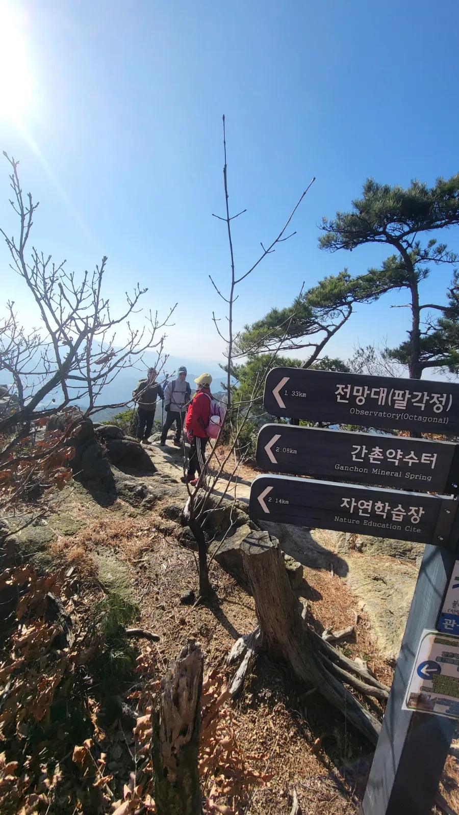 과천애문화,관악산 국기봉 가는길 과천 시민회관 쪽에서  둘레길처럼 편한 곳