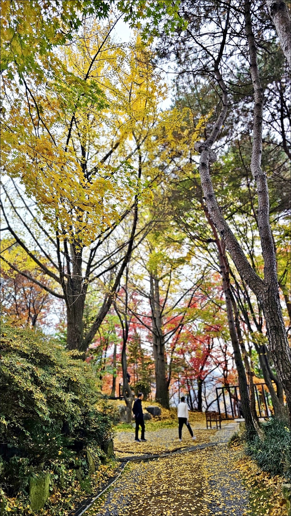 경기 광주 가볼만한곳 남한산성 순교성지 단풍으로 물든 가을 소경!