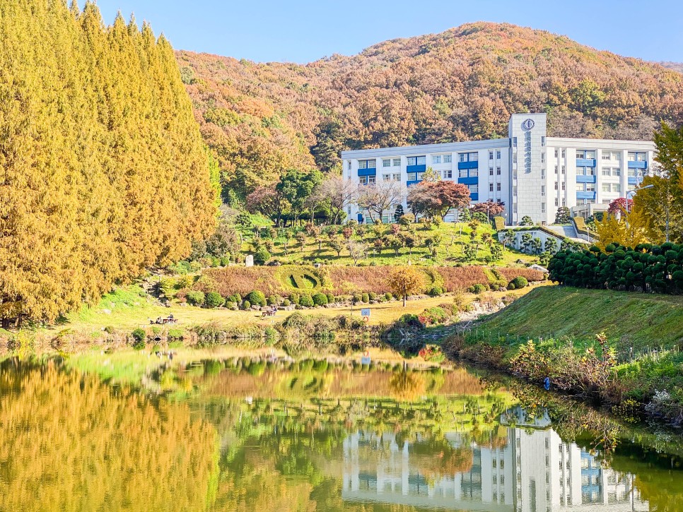 용인 가볼만한곳 단풍 명소 한국외국어대학교 산책로 데이트 코스